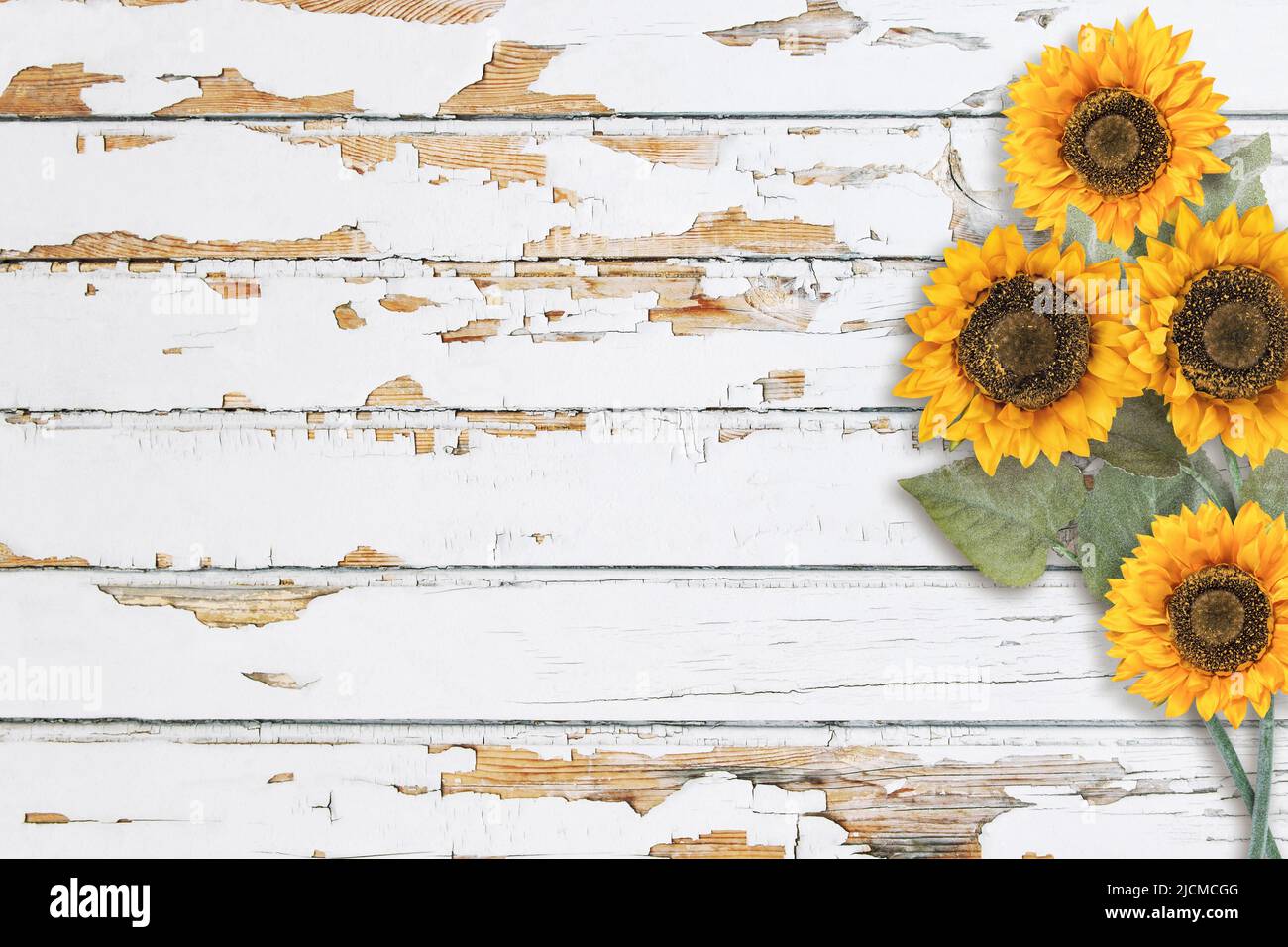 Holzhintergrund florale Sonnenblume Dekoration. Helle Holzstruktur Stockfoto