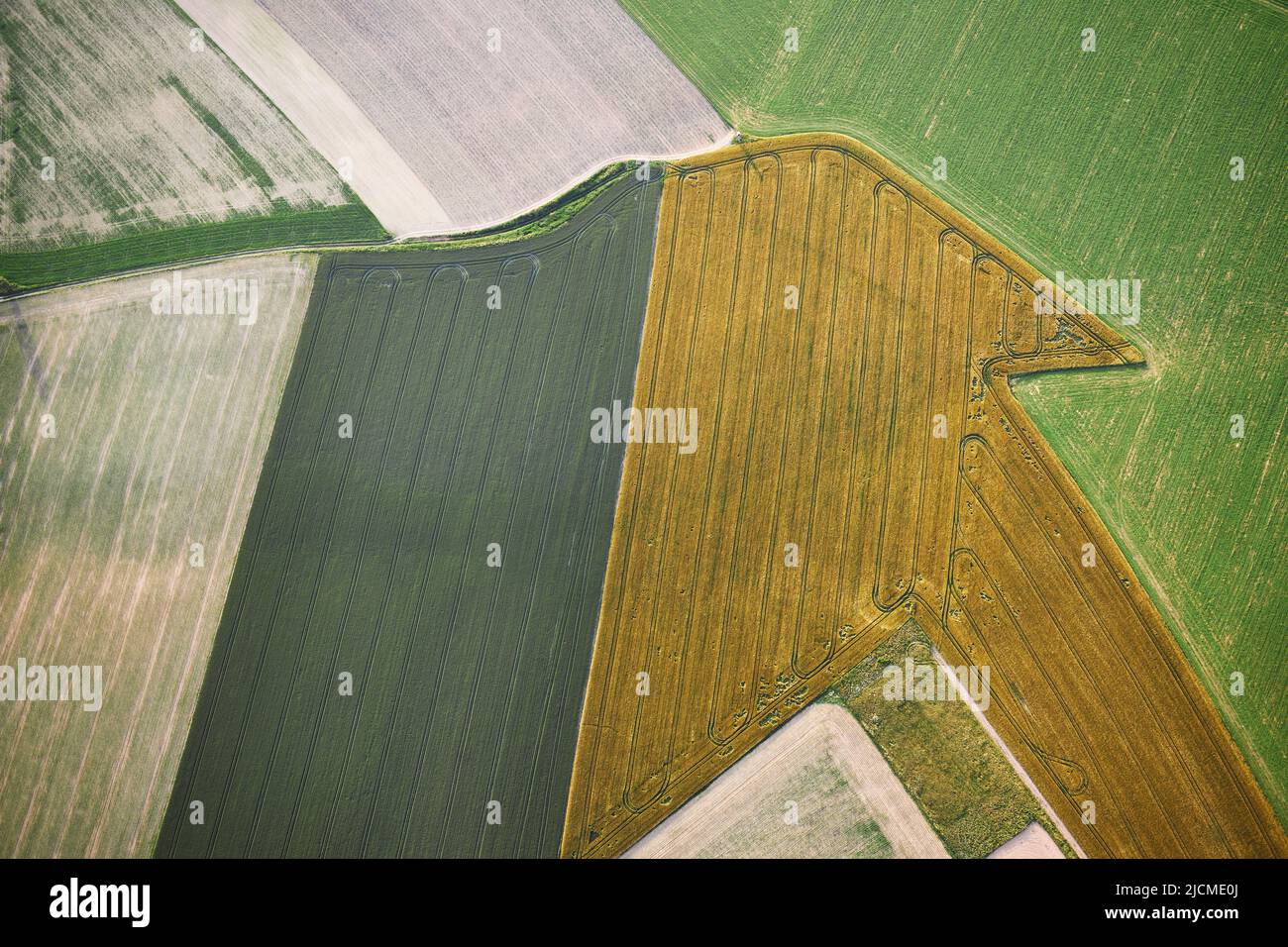 Landwirtschaftliche Landschaft mit verschiedenen Kulturen. Weitwinkelansicht auf Feldmuster. Stockfoto