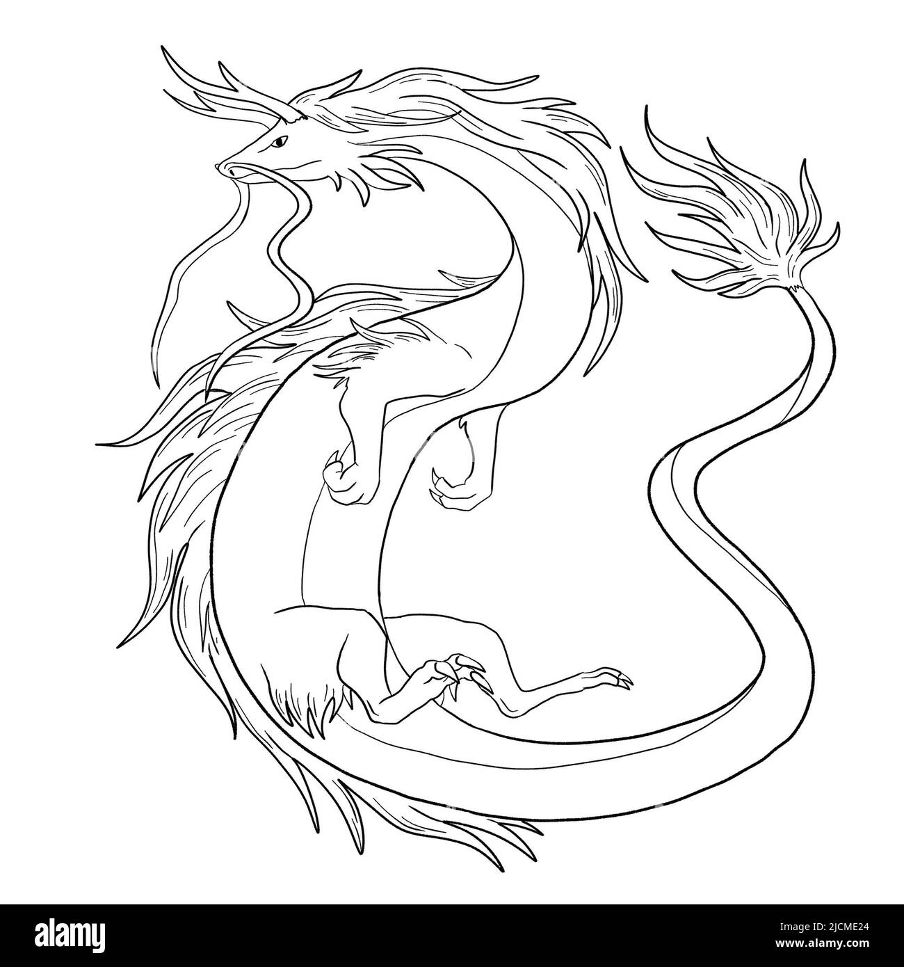 Schwarz-Weiß-Malseite Tinte Illustration eines Drachen. Stockfoto