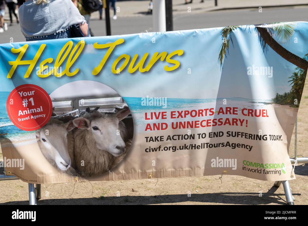 London, Großbritannien. 14.. Juni 2022. Mitgefühl in der Landwirtschaft Protest gegen Lebendviehexporte im Parliament Square London Großbritannien, Quelle: Ian Davidson/Alamy Live News Stockfoto