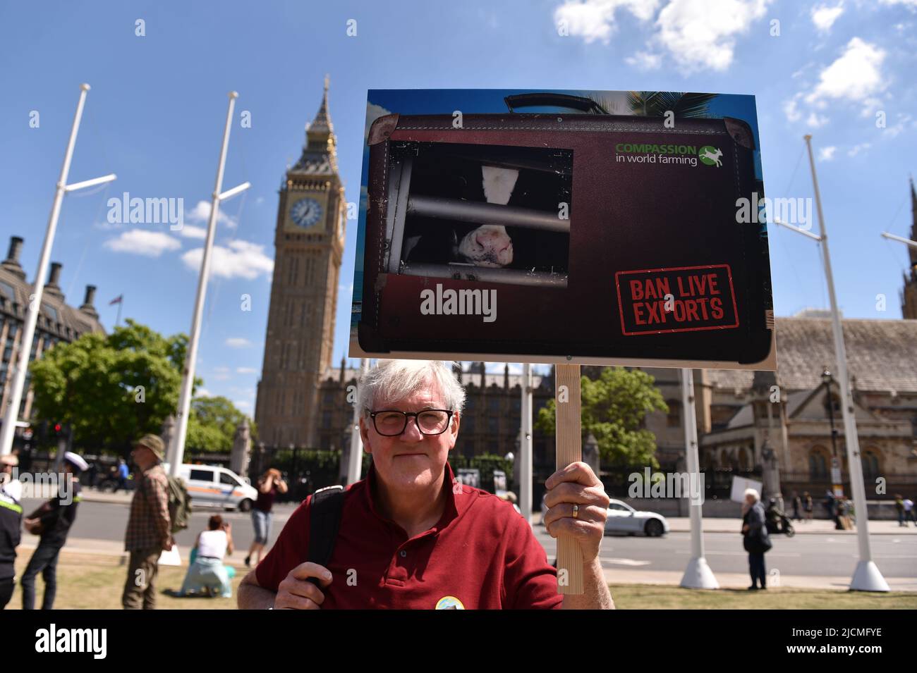 London, England, Großbritannien. 14.. Juni 2022. Der Protestierende hält ein Plakat bei der Kundgebung. Aktivisten protestierten auf dem Parliament Square, um die britische Regierung aufzufordern, den Export von Lebendtieren zu beenden. (Bild: © Thomas Krych/ZUMA Press Wire) Stockfoto