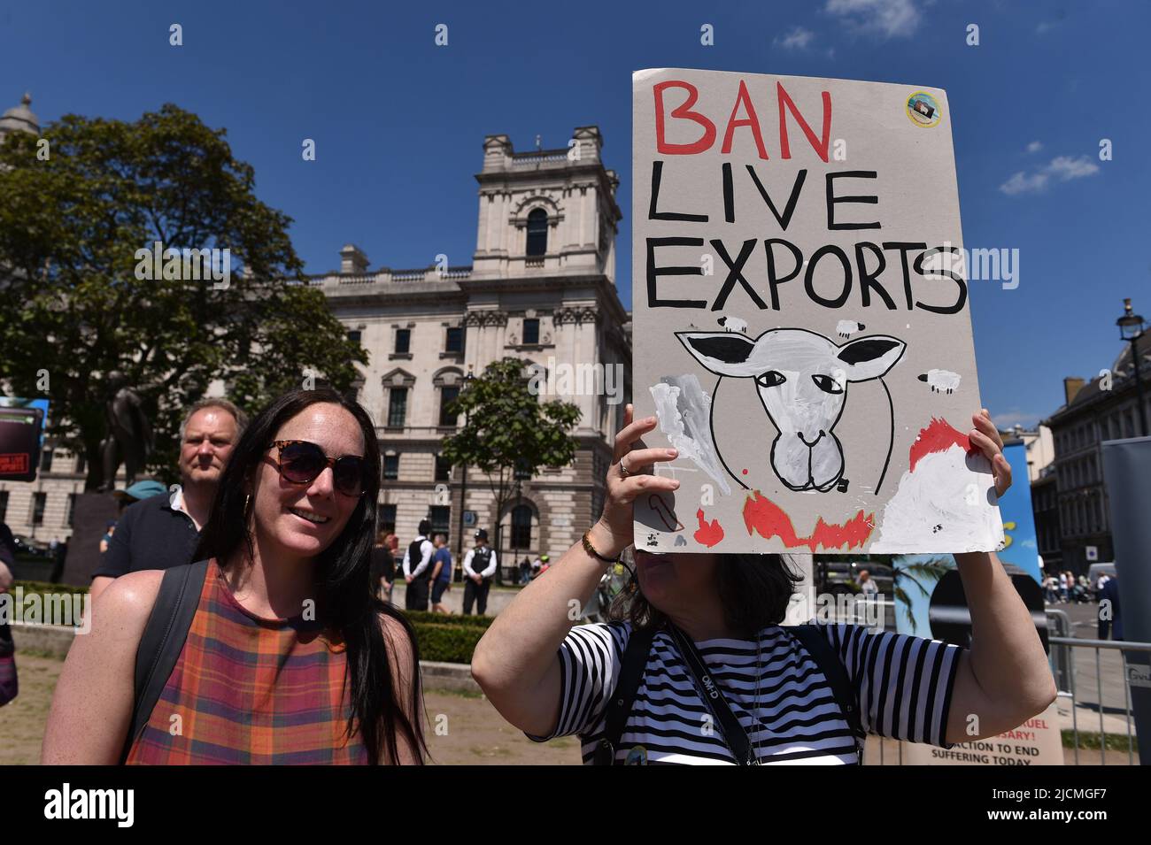 London, England, Großbritannien. 14.. Juni 2022. Der Protestierende hält ein Plakat bei der Kundgebung. Aktivisten protestierten auf dem Parliament Square, um die britische Regierung aufzufordern, den Export von Lebendtieren zu beenden. (Bild: © Thomas Krych/ZUMA Press Wire) Stockfoto