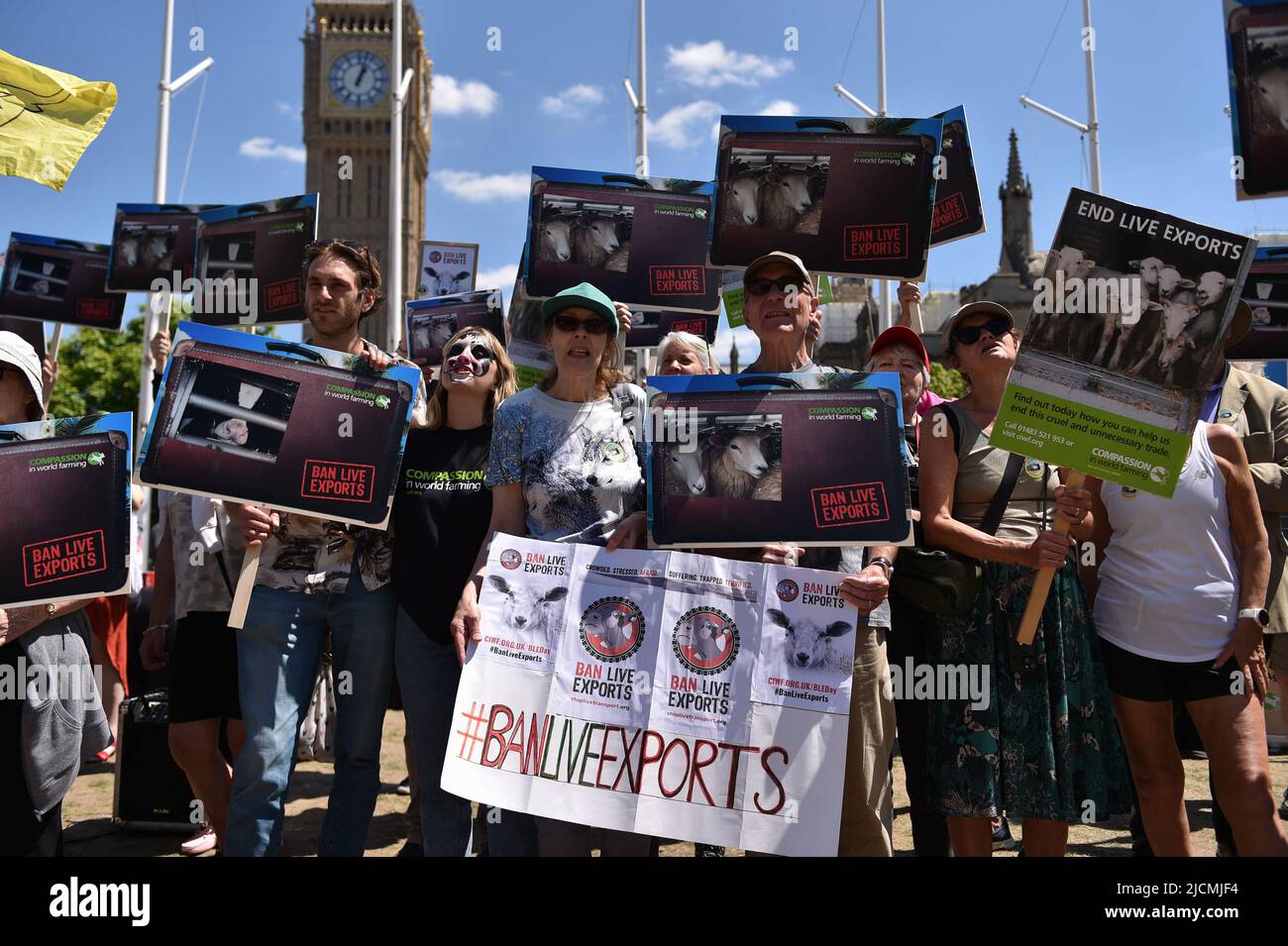 London, England, Großbritannien. 14.. Juni 2022. Aktivisten protestierten auf dem Parliament Square, um die britische Regierung aufzufordern, den Export von Lebendtieren zu beenden. (Bild: © Thomas Krych/ZUMA Press Wire) Stockfoto