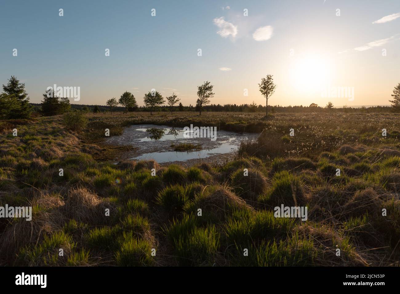 Hochmoorlandschaft im deutsch-belgischen Naturpark hohes Venn-Eifel Stockfoto