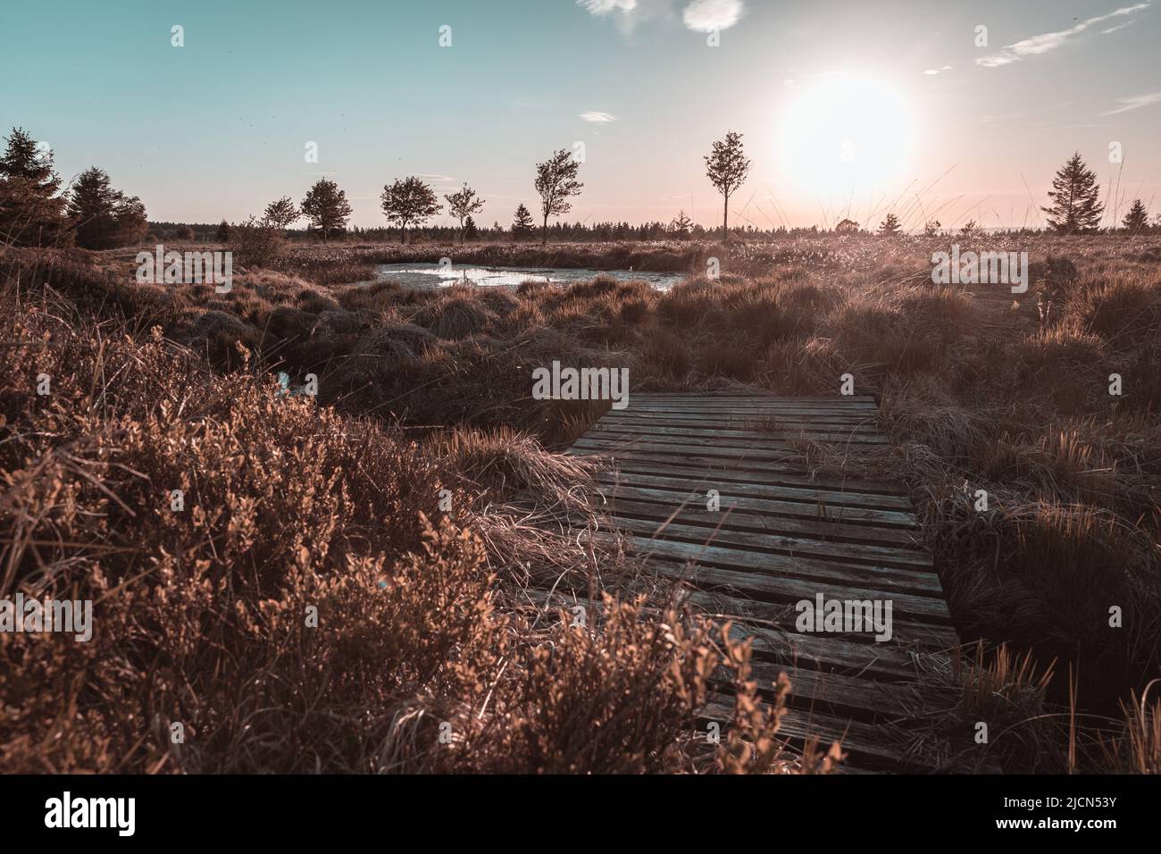 Hochmoorlandschaft im deutsch-belgischen Naturpark hohes Venn-Eifel Stockfoto