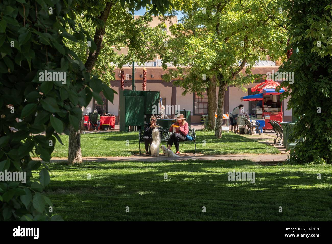 Zwei Frauen sitzen auf einer Parkbank beim Essen, ihre beiden weißen Hunde zu ihren Füßen, einer bettelt um Futter, im Santa Fe Plaza, Santa Fe, New Mexico, USA. Stockfoto