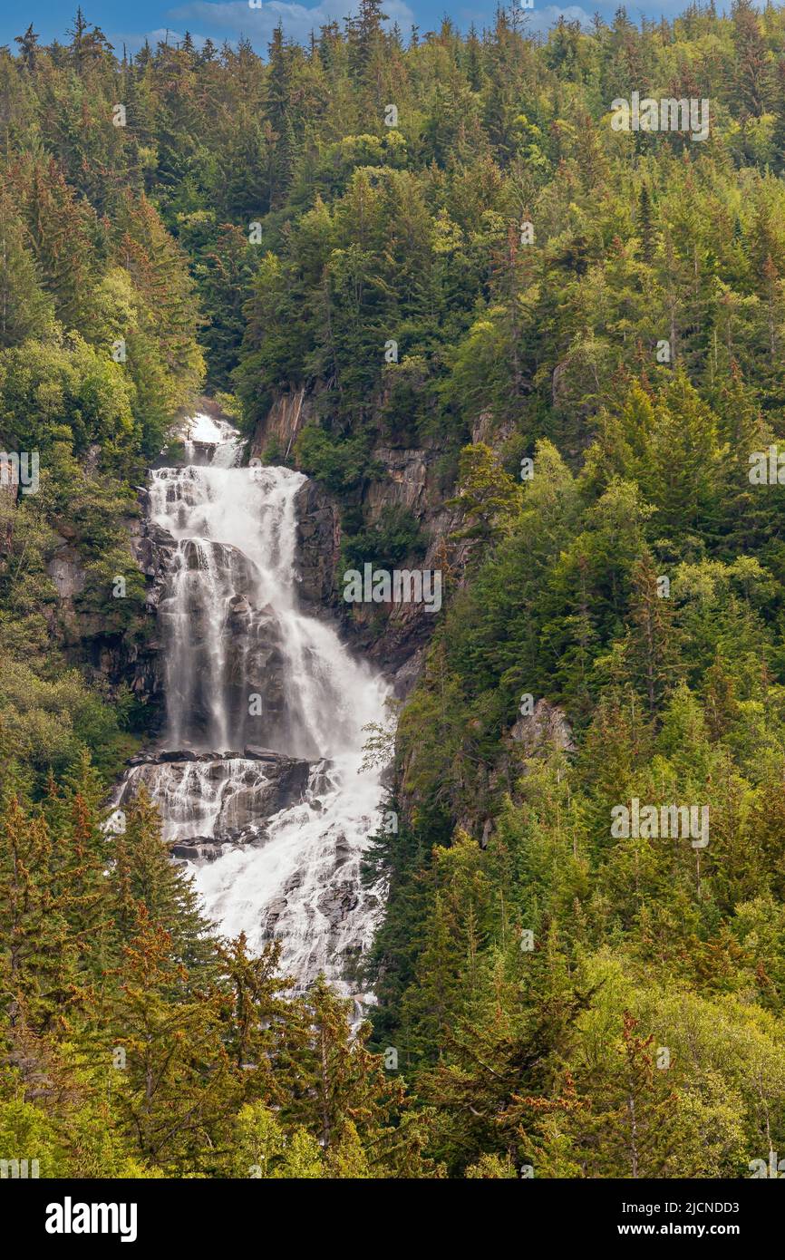 Skagway, Alaska, USA - 20. Juli 2011: Taiya Inlet über Chilkoot Inlet. Portrait, spritzenden weißen Wasserfall eingefangen, umgeben von Schattierungen von grünen fol Stockfoto