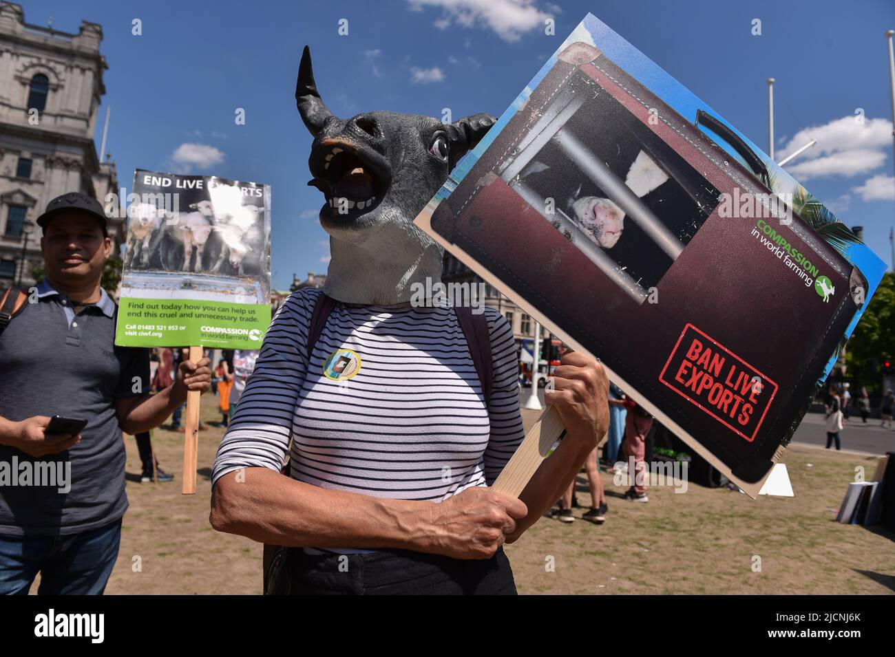 Aktivisten protestierten auf dem Parliament Square, um die britische Regierung aufzufordern, den Export von Lebendtieren zu beenden. Stockfoto