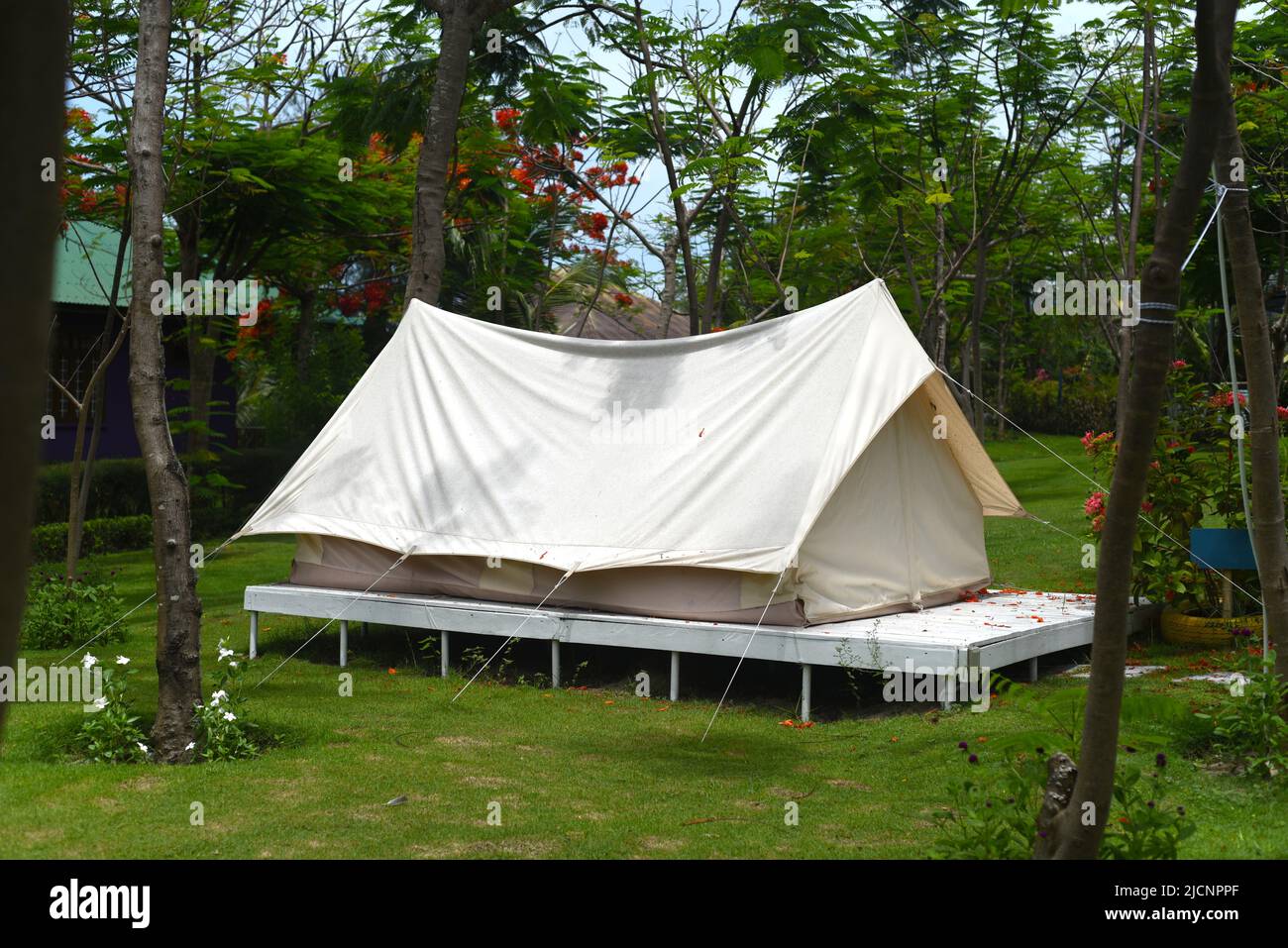 Camping Zelt in einem Regenwald von Vietnam Stockfoto