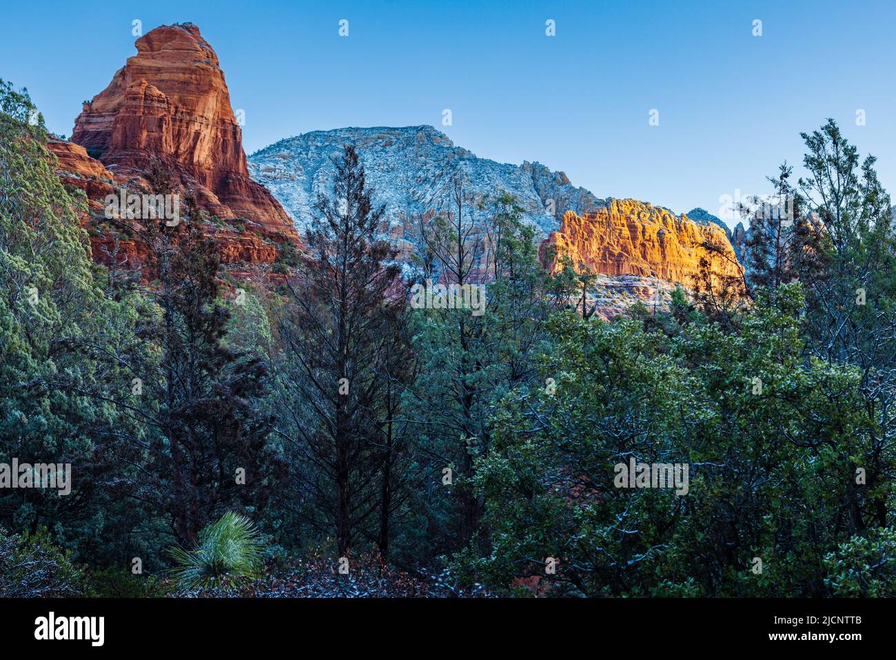 Direktes Licht, Schatten und reflektiertes Licht schaffen eine farbenfrohe Winterlandschaft in Sedona, Arizona. Stockfoto