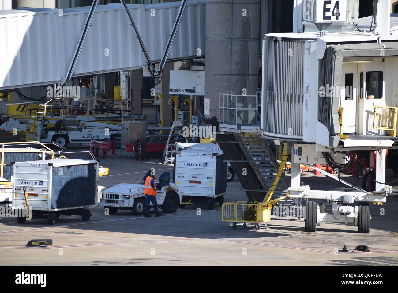 Ein Mitarbeiter von United Airlines im Rampendienst zwischen Gepäckwagen vor Terminal E am internationalen Flughafen Dallas-Fort Worth (DFW Airport) Stockfoto