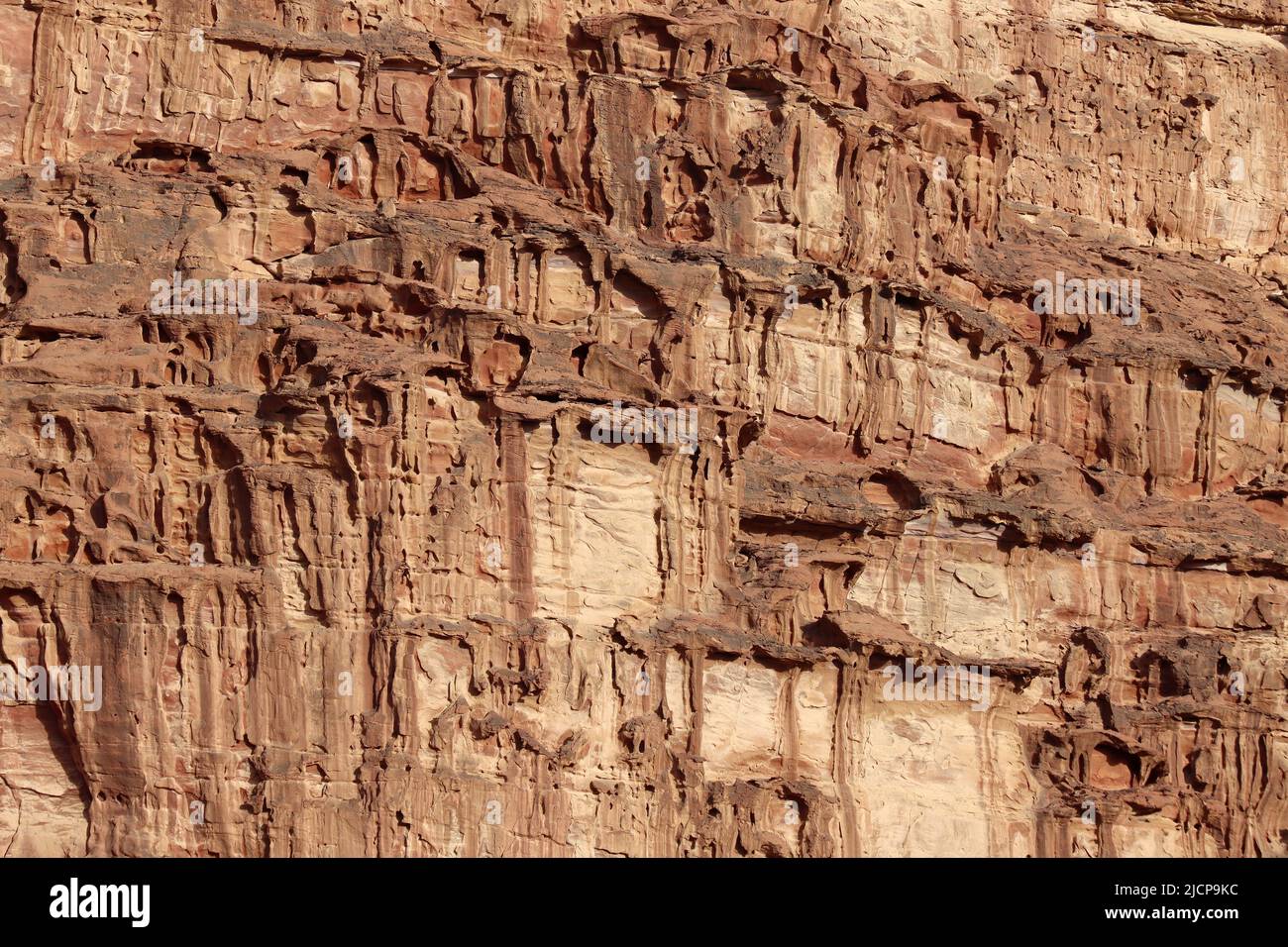 Nahaufnahme Detail des verwitterten um Sahn Sandsteinfelsenabsteldes in Wadi Rum, Jordanien Stockfoto