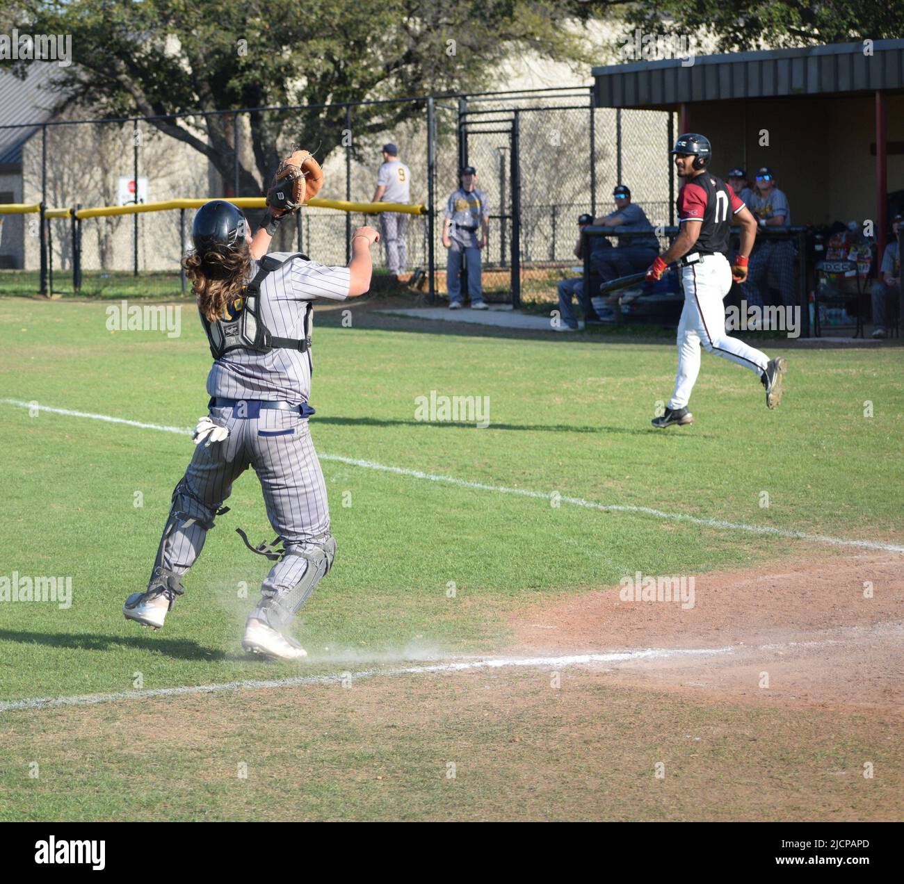 Ein Baseballspieler von Ecclesia College, der sich darauf vorbereitet, einen Pop-up-Hit eines Baseballspielers vom Dallas Christian College zu fangen Stockfoto