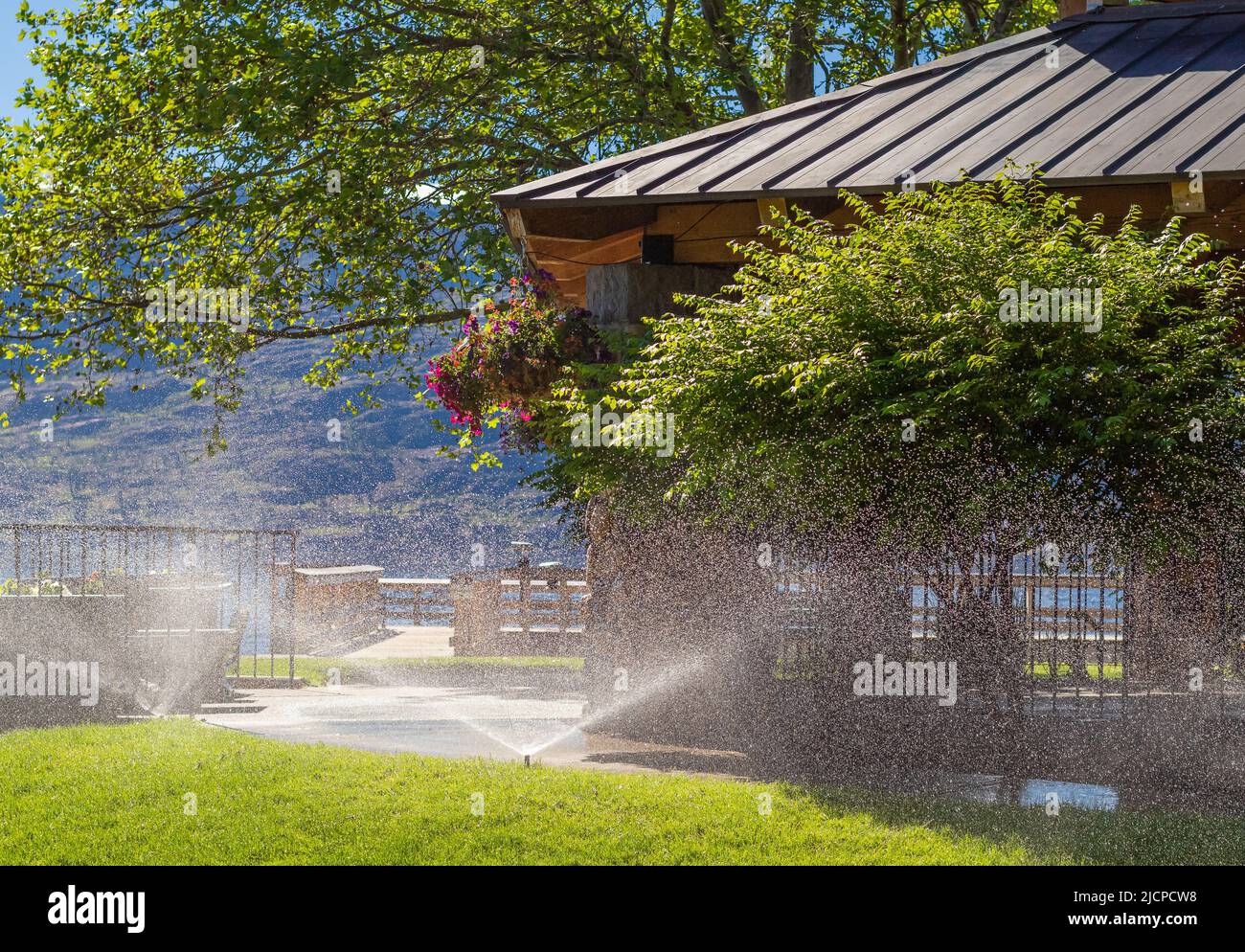 Automatische Sprinkler zur Bewässerung von Gras Bewässerungssysteme Für Den Garten. Bewässerungssystem Bewässerung des grünen Grases. Bewässerung der Sprinkleranlage im Wohngebiet Stockfoto