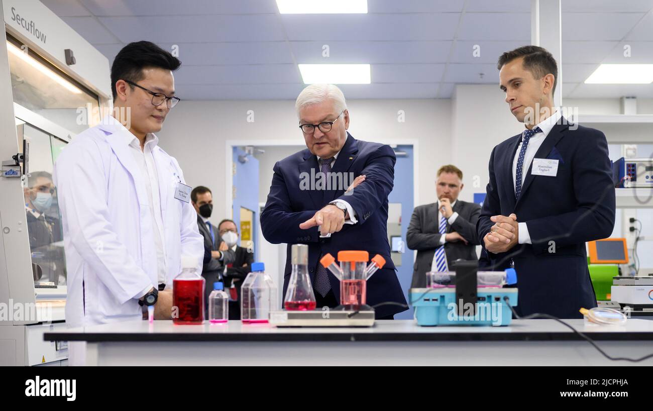 Singapur, Singapur. 15.. Juni 2022. Bundespräsident Frank-Walter Steinmeier besucht das German Centre Singapore und spricht mit Aaron Chua (l.) und Leiter Maximilian Englisch im Life Science Inkubator, einem Co-Working Lab für Biotech-Unternehmen. Präsident Steinmeier ist zu einem zweitägigen Besuch in Singapur. Danach wird er weiter nach Indonesien reisen. Quelle: Bernd von Jutrczenka/dpa/Alamy Live News Stockfoto