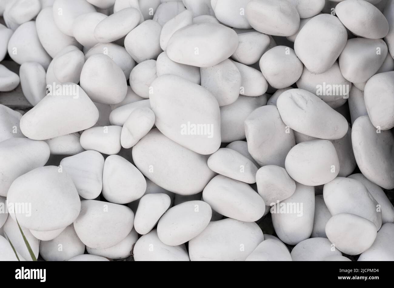 Natürliche Textur. Hintergrund aus weißen Kieselsteinen. Stockfoto