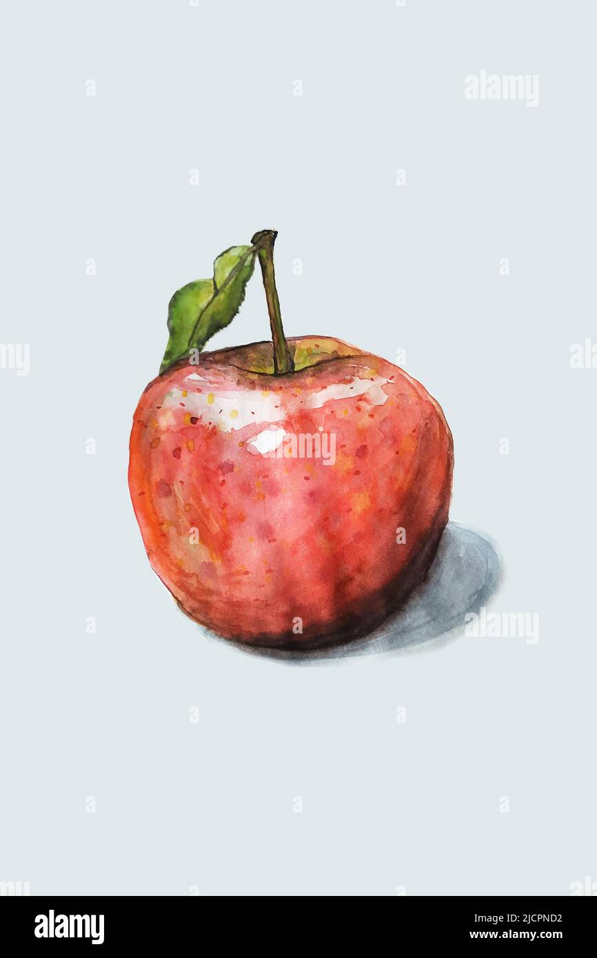 Isoliertes Aquarell eines Apfels, rot und knackig, gerade gepflückt Stockfoto