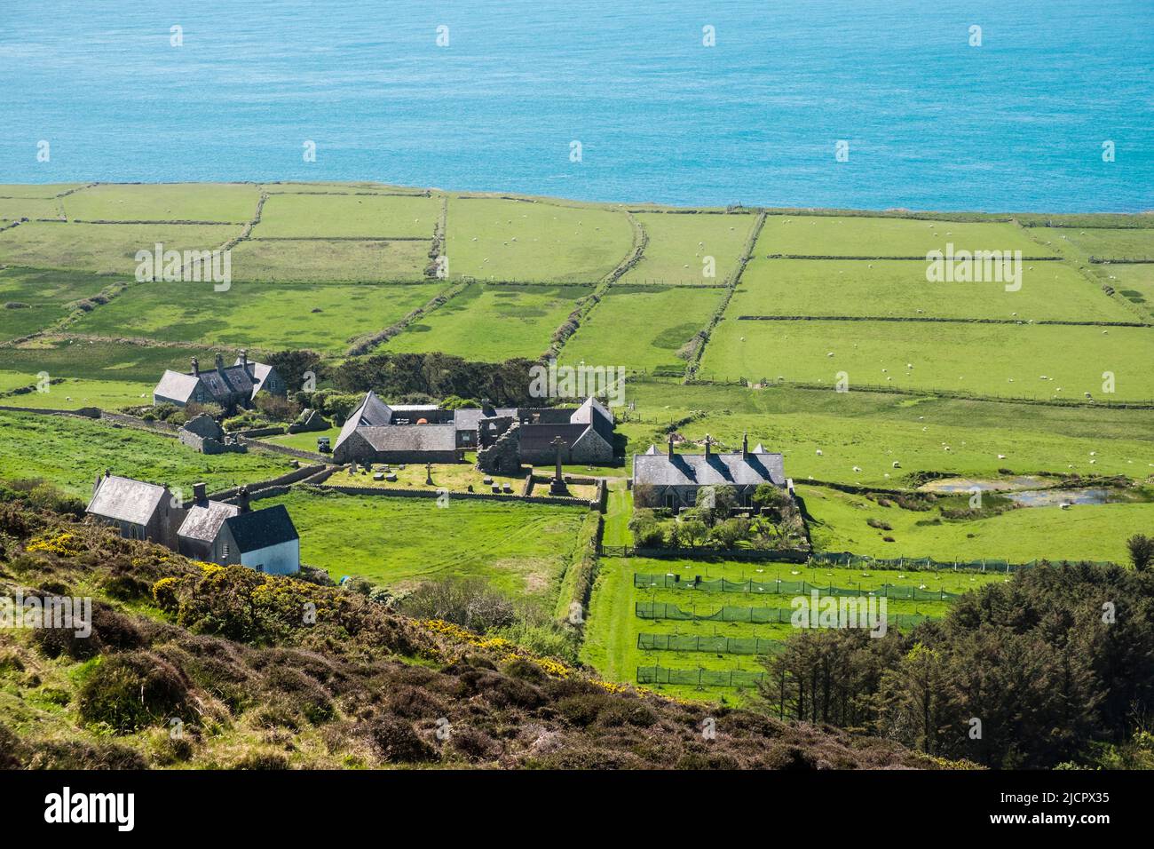 Blick auf die St. Mary's Abbey und die Hütten von Mynydd Enlli mit Schafen, die auf Feldern auf dem Meer grasen. Bardsey Island, Llyn Peninsula, Gwynedd, Wales, Großbritannien Stockfoto