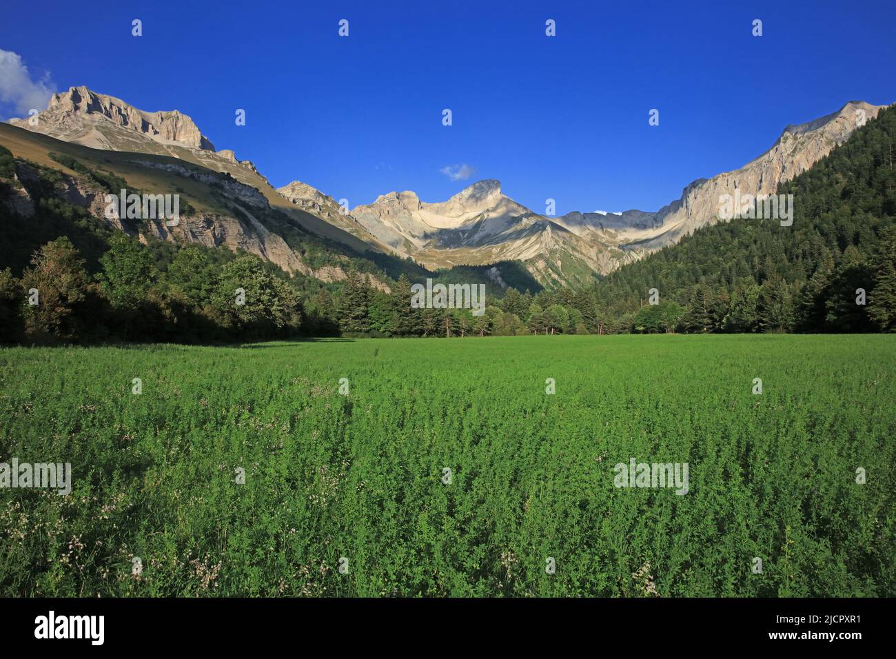 Frankreich, Drôme Lus-la-Croix-Haute, vallon de la Jarjatte, la Tête du Lauzon, Naturregion France du Pays du Buëch Stockfoto