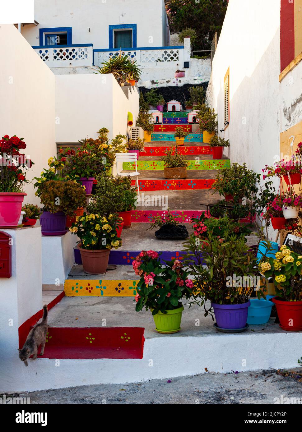 Blick auf ein typisches farblich gefärbtes Haus in Linosa mit einer Treppe voller Blumentöpfe Stockfoto