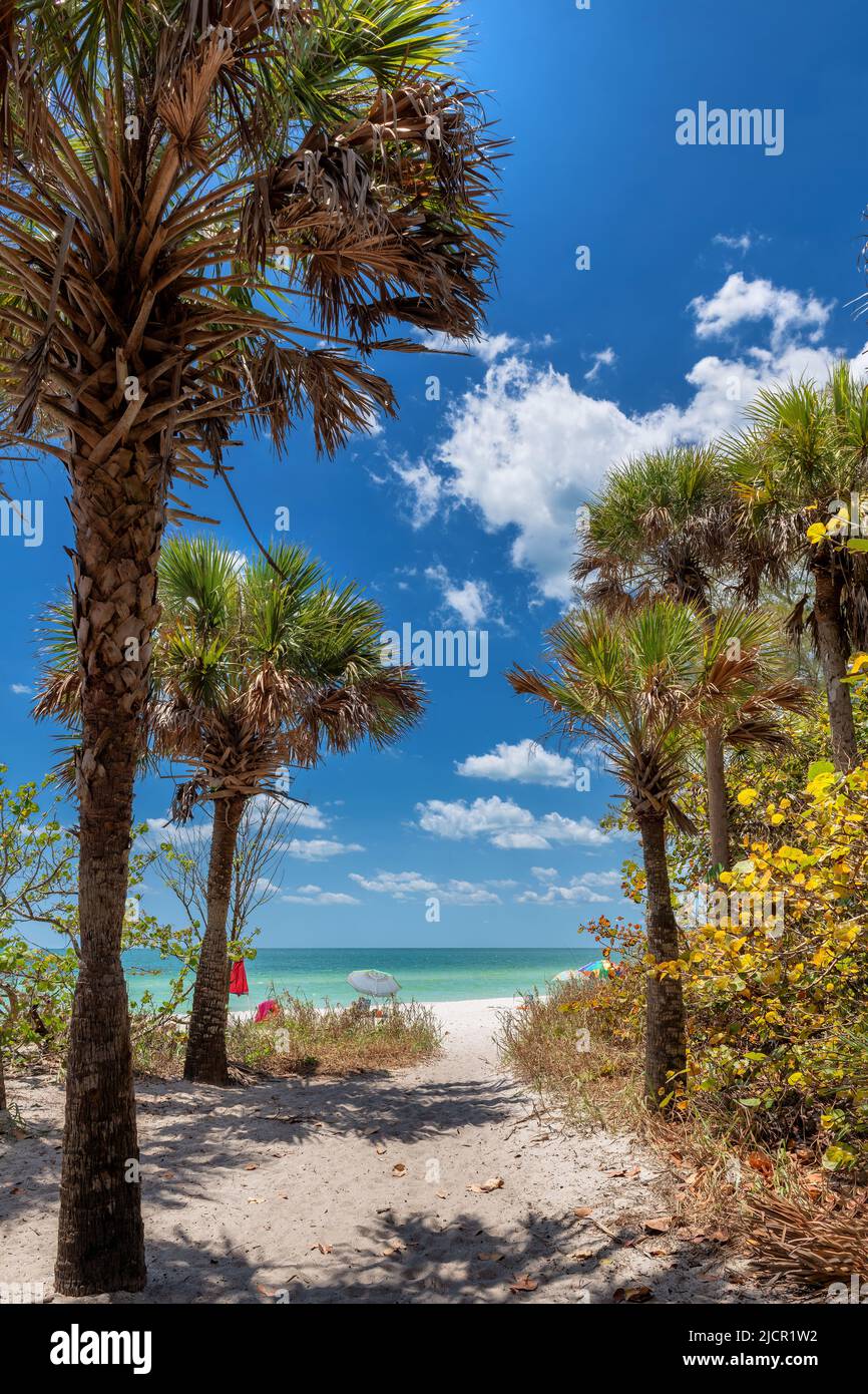 Der Weg zum wunderschönen weißen Sandstrand mit Palmen, Sonnenschirmen und Liegestühlen in Naples Beach, Florida, USA Stockfoto