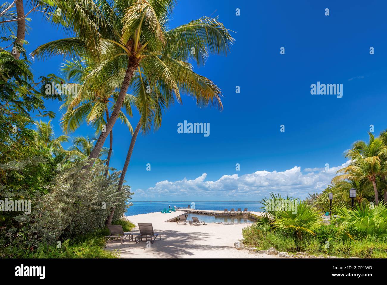 Palmen und Pier an einem wunderschönen tropischen Strand auf der Karibikinsel Stockfoto