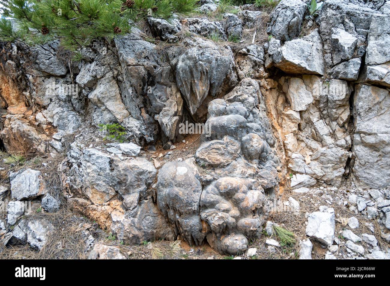 Stalaktit in einer Kalksteinhöhle auf dem Straßenschnitt ausgesetzt. Türkiye. Stockfoto