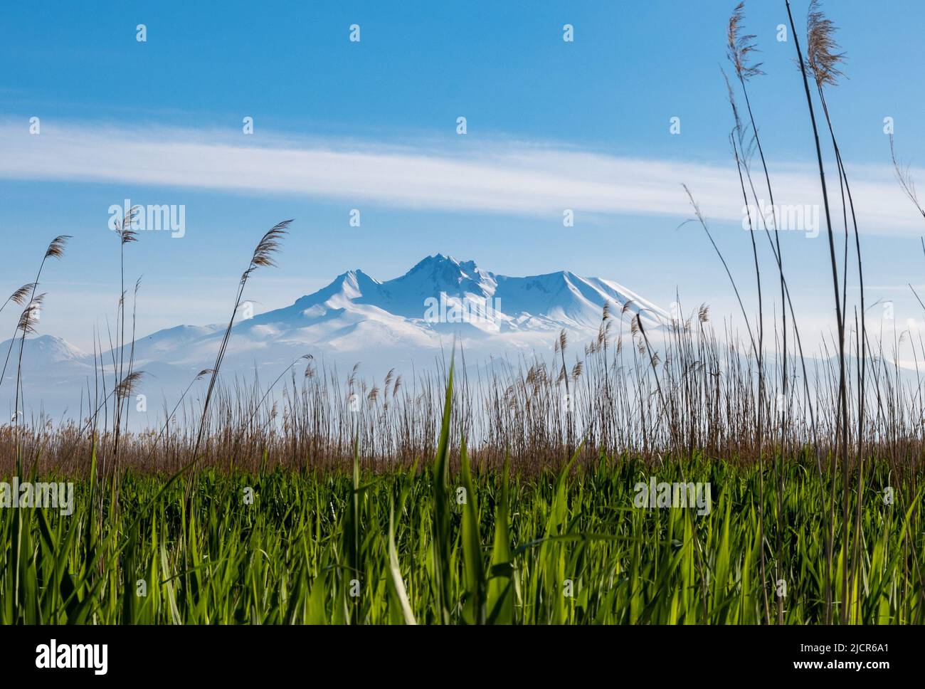 Mount Erciyes Vulkan, Blick vom Sultansazligi National Park oder Sultan Marshes. Kayseri, Türkiye. Stockfoto