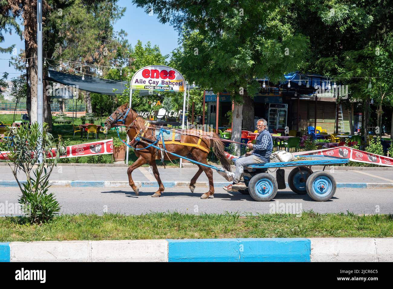 Ein alter Mann fährt einen Pferdewagen auf die Straße. Birecik, Türkiye. Stockfoto