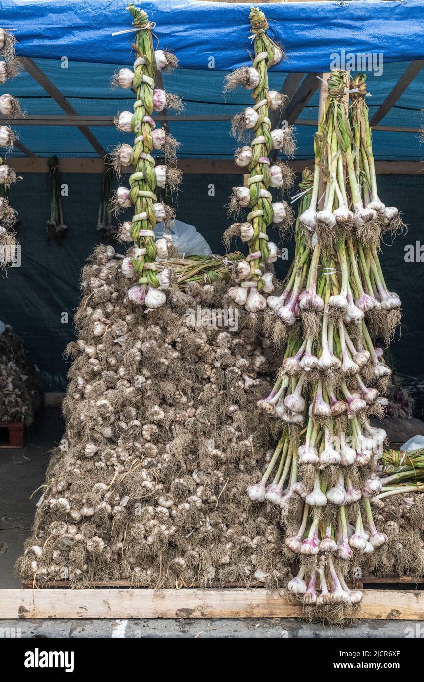 Frischer Knoblauch zum Verkauf auf einem Markt in der Stadt Trecastagni, Sizilien, Italien Stockfoto