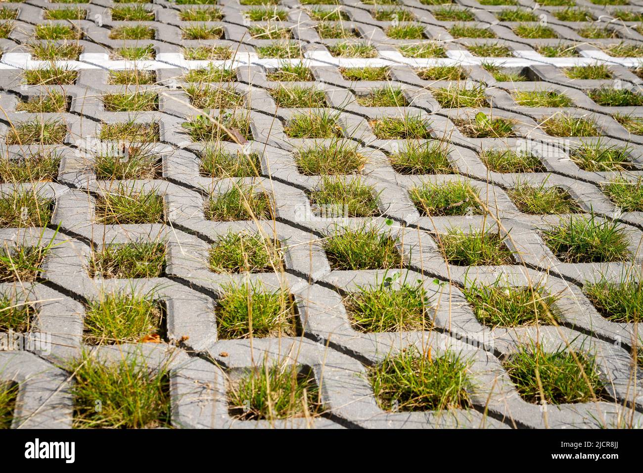 Grünes Gras zwischen den Bürgersteig quadratischen Fliesen. Gras und Zementpflaster. Eco Parkplatz Textur Hintergrund. Stockfoto