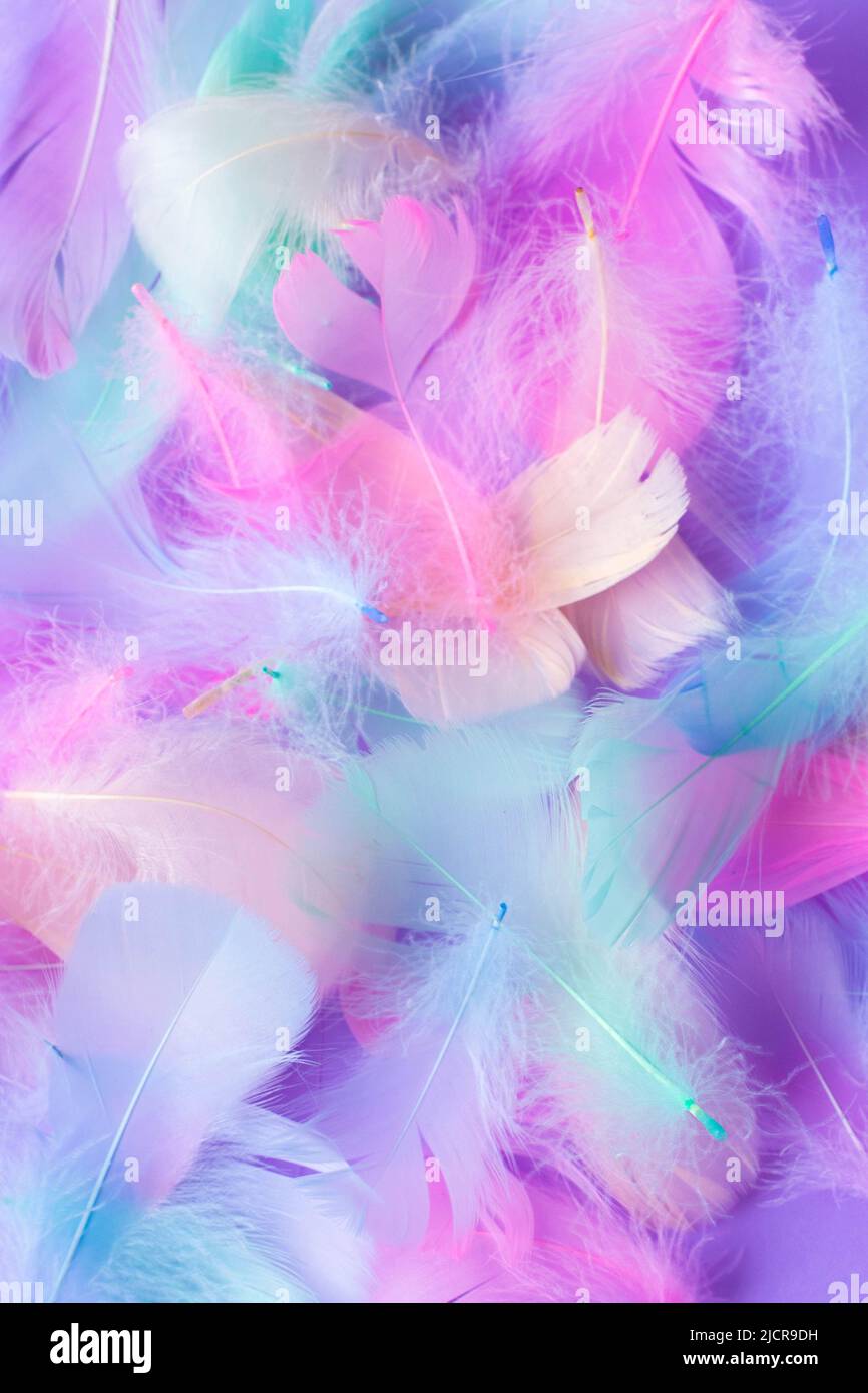 Hintergrund mit dekorativen Elementen aus bunten Federn, rosa, blau, mint, lila Farben Stockfoto