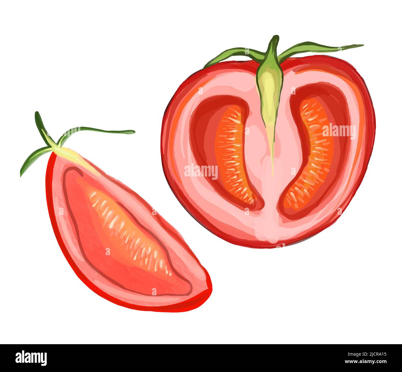 Vector zwei Tomaten in Scheiben schneiden und Hälfte. Handgezeichnete Aquarellillustration. Reife rote Tomaten. Stock Vektor