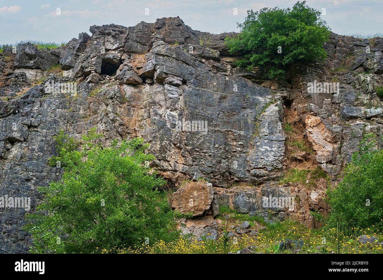 Eingang, möglicherweise eine natürliche Höhle oder ein Minengang, freigelegt in einem verlassenen Steinbruch auf der Moss Rake Mineralader, Bradwell Moor, Peak District. Stockfoto