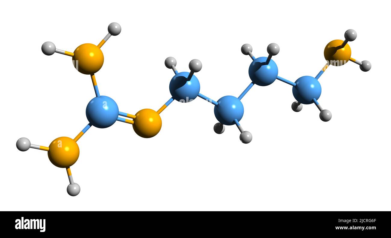 3D Aufnahme der Agmatinskelettformel - molekularchemische Struktur von Aminoguanidin isoliert auf weißem Hintergrund Stockfoto