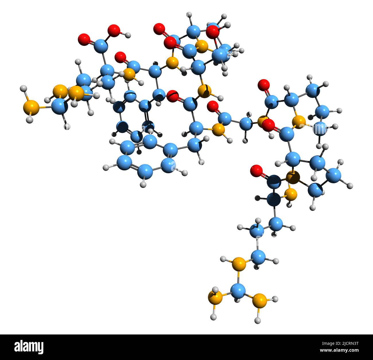 3D Bild der Bradykinin-Skelettformel - molekularchemische Struktur des auf weißem Hintergrund isolierten Entzündungspeptids Stockfoto