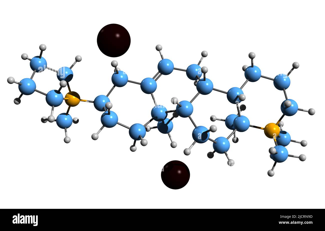 Synthonon Fotos und Bildmaterial in hoher Auflösung Alamy