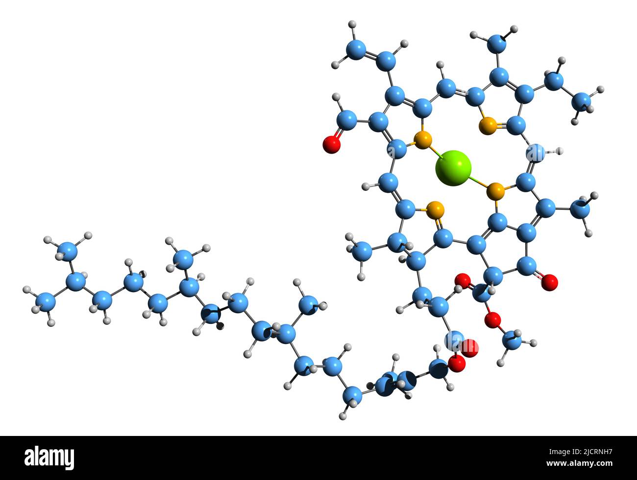 3D Bild von Chlorophyll f der Skelettformel - molekulare chemische Struktur von Chlorophyll isoliert auf weißem Hintergrund Stockfoto