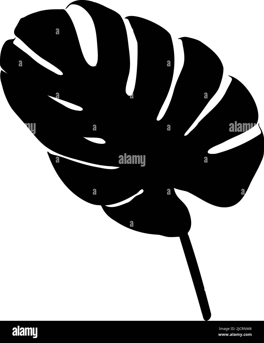 Schwarze Silhouette einer Monstera oder eines Palmenblattes isoliert auf weißem Hintergrund. Schwarz und Weiß. Vektorgrafik. Stock Vektor