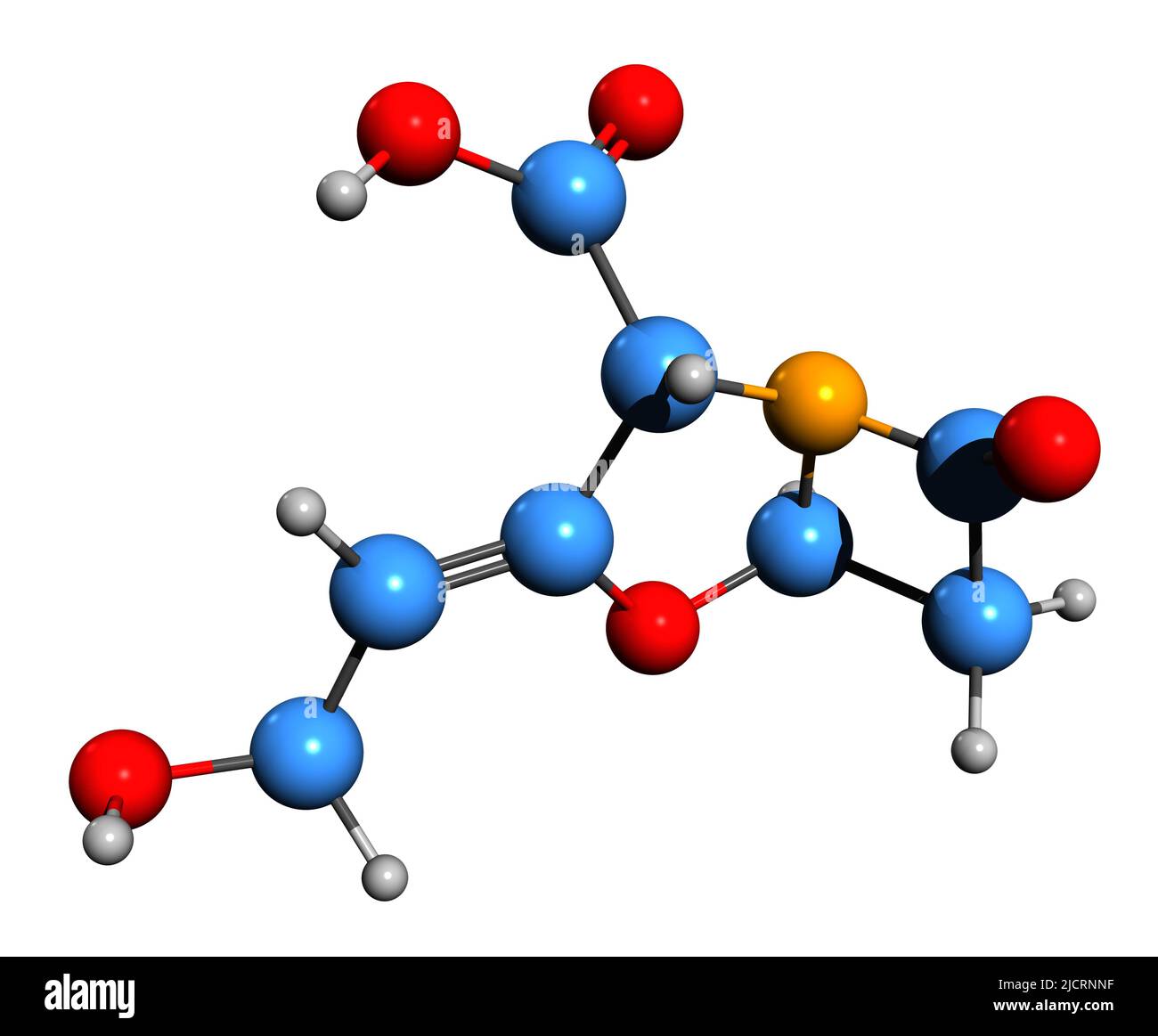 3D Bild der Skelettformel der Clavulansäure - molekulare chemische Struktur des Beta-Lactam-Medikaments auf weißem Hintergrund isoliert Stockfoto