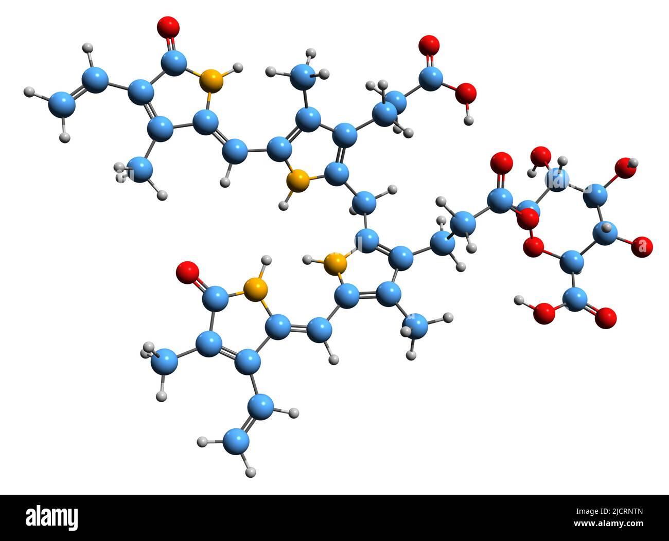 3D Bild der Skelettformel von Bilirubin Glucuronid - molekularchemische Struktur des auf weißem Hintergrund isolierten Metaboliten Stockfoto
