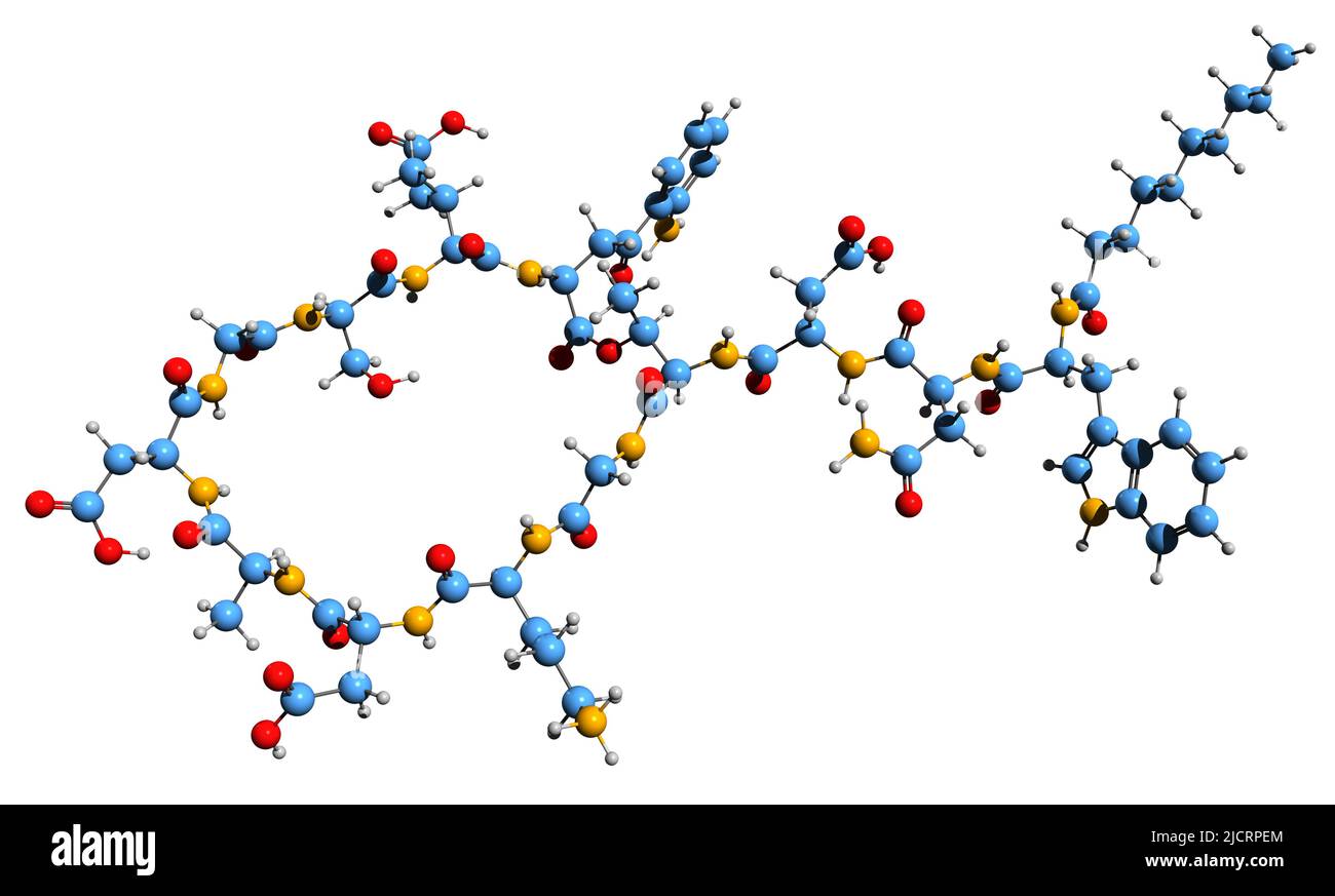 3D Bild der Daptomycin-Skelettformel - molekulare chemische Struktur des Lipopeptid-Antibiotikums, isoliert auf weißem Hintergrund Stockfoto