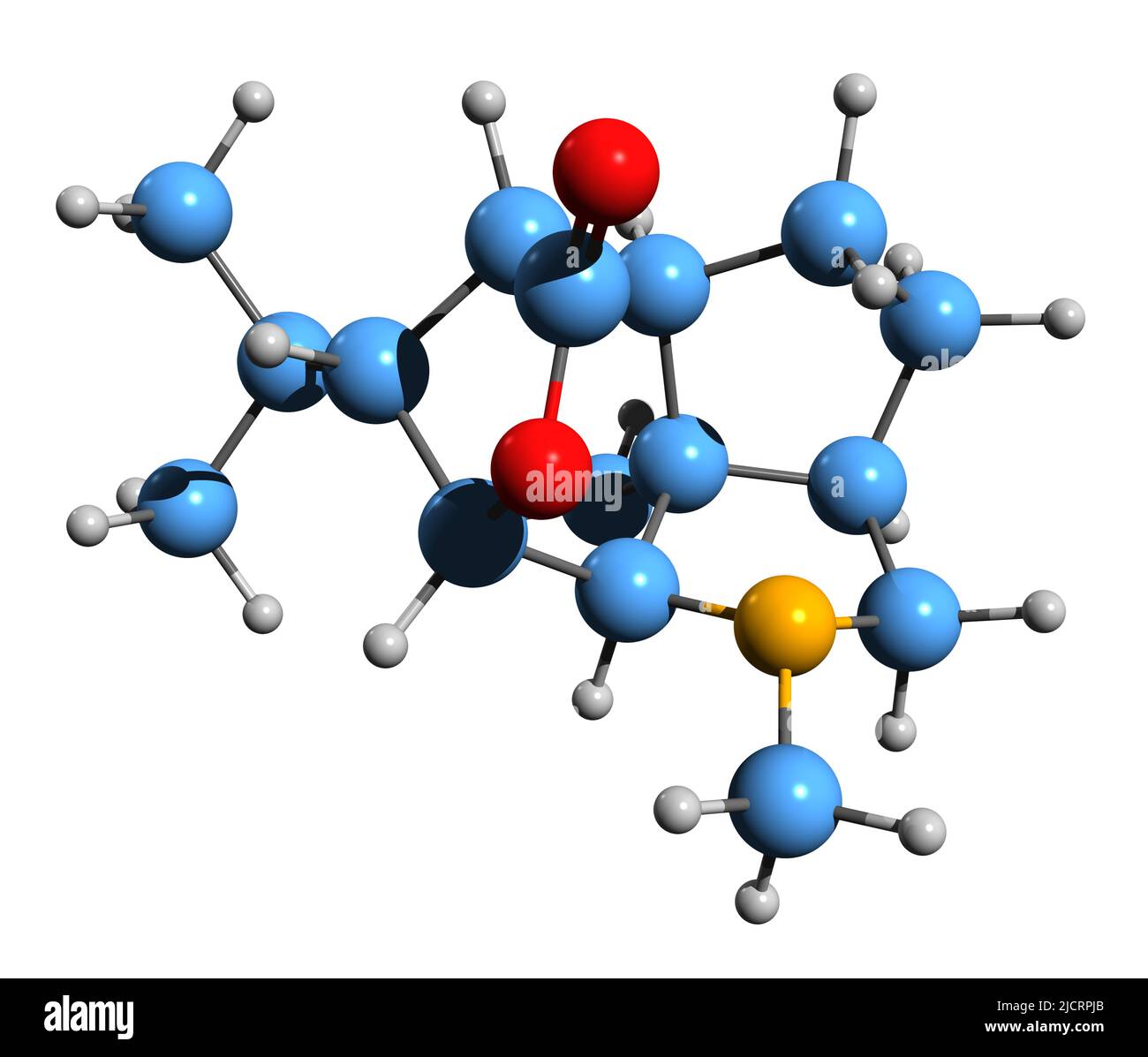 3D Bild der Skelettformel von Dendrobine - molekularchemische Struktur des Alkaloids auf weißem Hintergrund isoliert Stockfoto