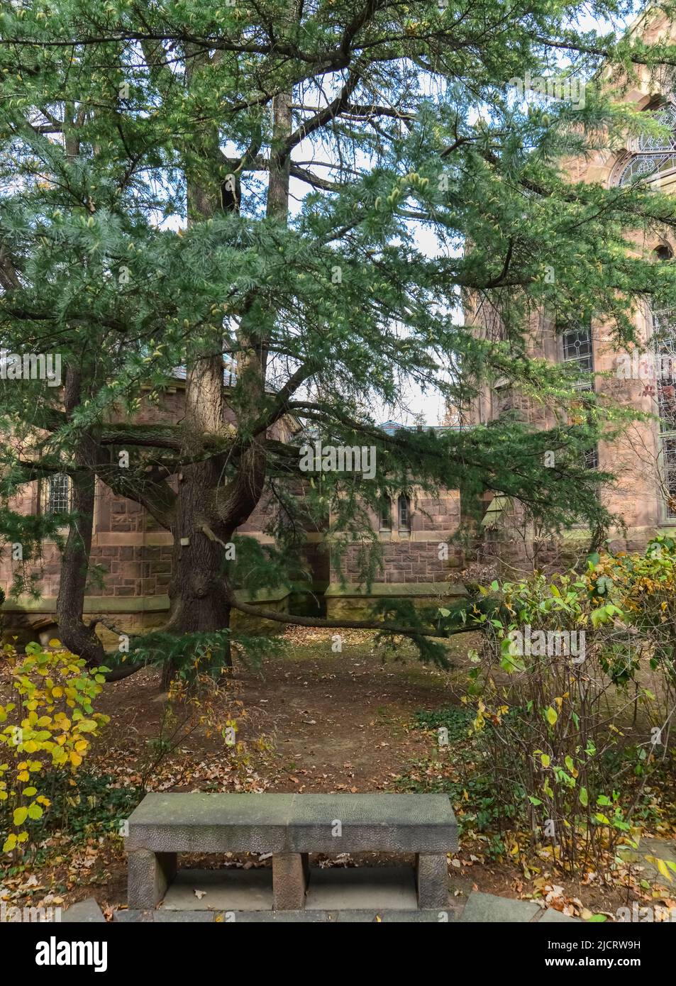 PRINCETON, NJ USA - NOVENBER 12, 2019: Ivy League College Building, Princeton University, NJ USA Stockfoto PRINCETON, NJ USA - NOVENBER 12, 2019: Ivy League College Building, Princeton University, NJ USA Stockfoto