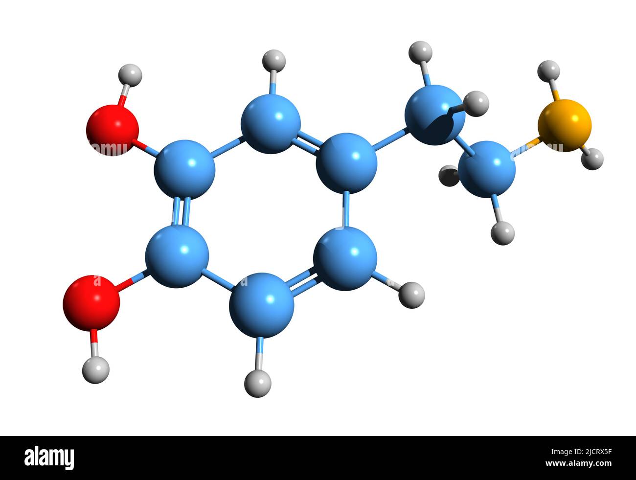 3D Bild der Dopamin-Skelettformel - molekularchemische Struktur von Oxytyramin isoliert auf weißem Hintergrund Stockfoto