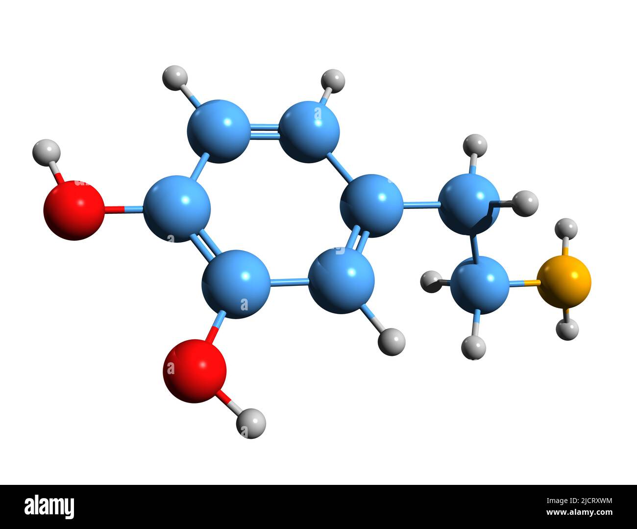 3D Bild der Kokain-Skelettformel - molekularchemische Struktur von Neurocain auf weißem Hintergrund isoliert Stockfoto