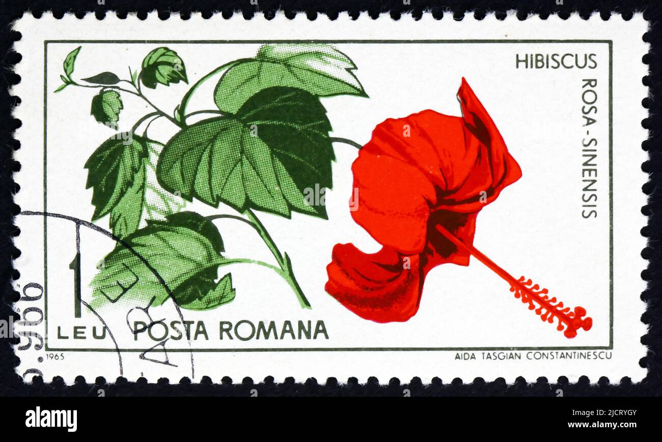RUMÄNIEN - CA. 1965: Ein in Rumänien gedruckter Stempel zeigt Chinesisches Hibiscus, Hibiscus Rosa-Sinensis, Werk, ca. 1965 Stockfoto