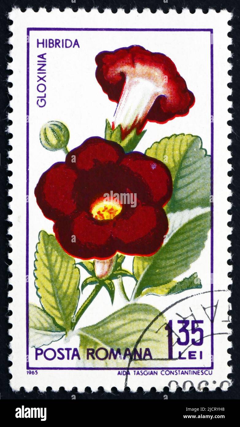 RUMÄNIEN - UM 1965: Eine in Rumänien gedruckte Briefmarke zeigt Gloxinia Hibrida, Sinningia Speciosa, Plant, um 1965 Stockfoto