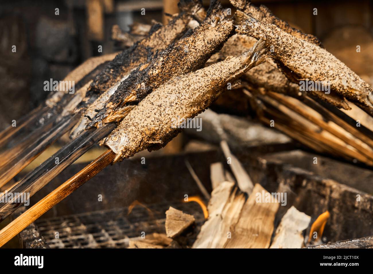 Forellen wurden auf einem Holzstäbchen-Grill über einem offenen Feuer aufgesetzt Stockfoto