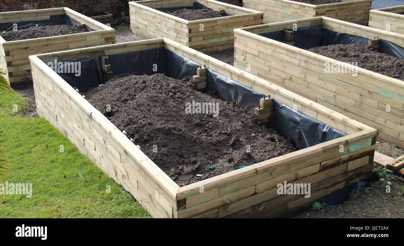 Der Bau von einigen hölzernen Garten erhöhte Betten. Stockfoto